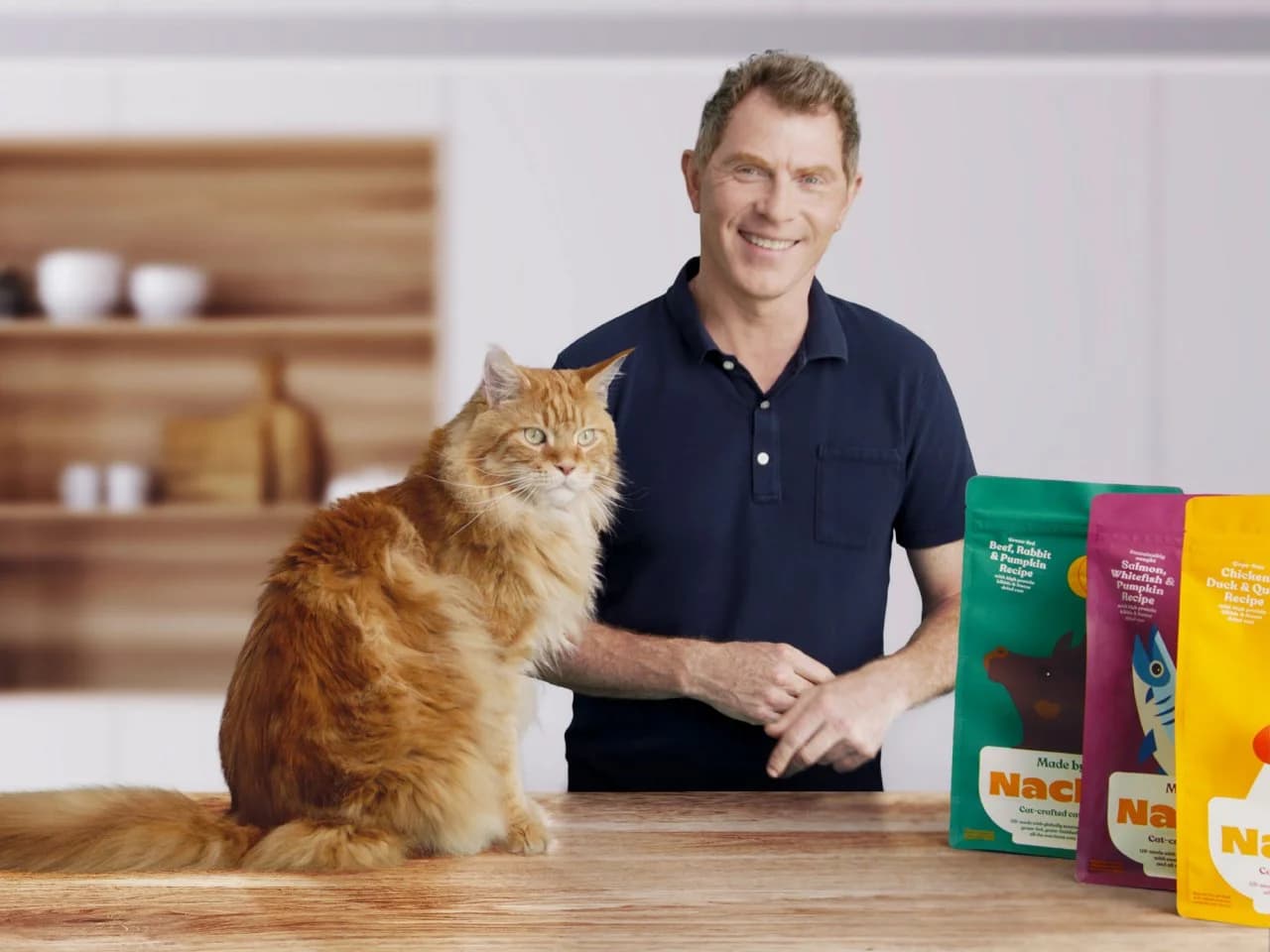 made by nacho cat food review