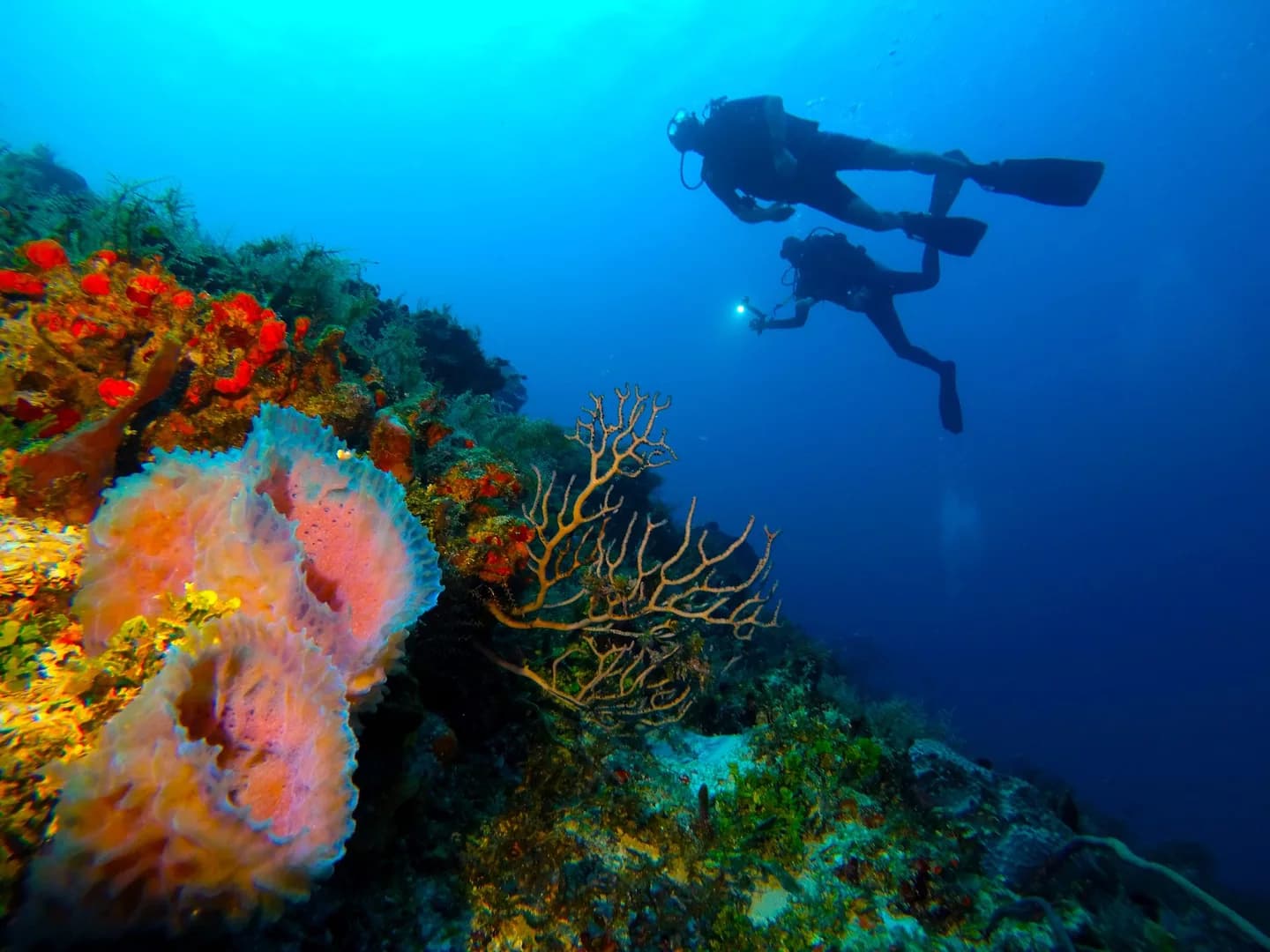 Erkunde Cozumel mit der Tauchschule Playa del Carmen